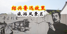 日日大逼视频中国绍兴-鲁迅故里旅游风景区